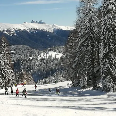 アパート Weitlaner Birgit *