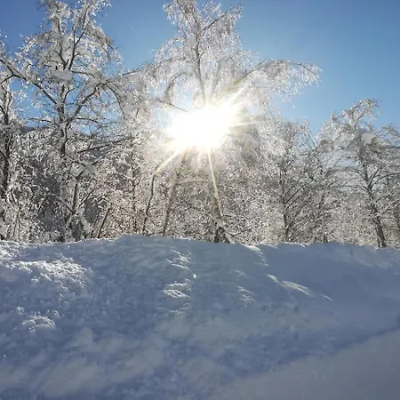 Weitlaner Birgit Apartment *
