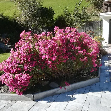 Weitlaner Birgit * ジリアン