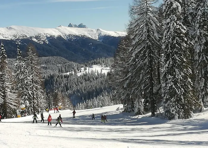 Appartement Weitlaner Birgit *