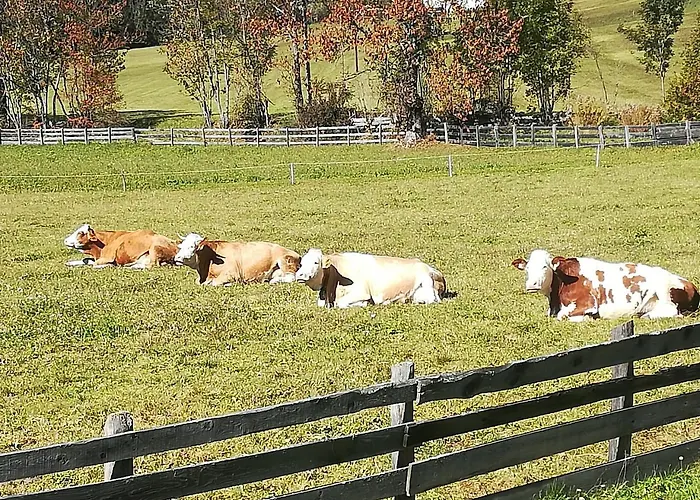 Weitlaner Birgit アパート ジリアン