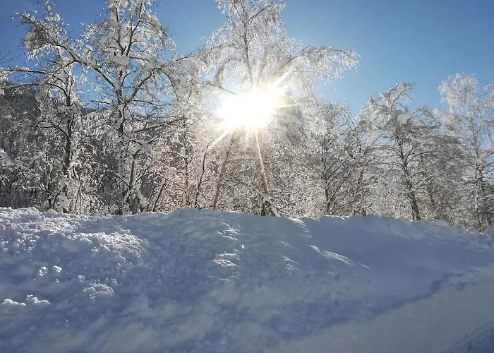 Weitlaner Birgit Appartement *