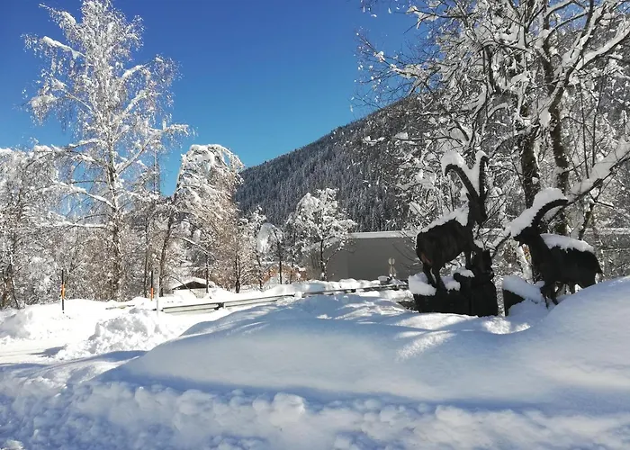 Weitlaner Birgit * ジリアン