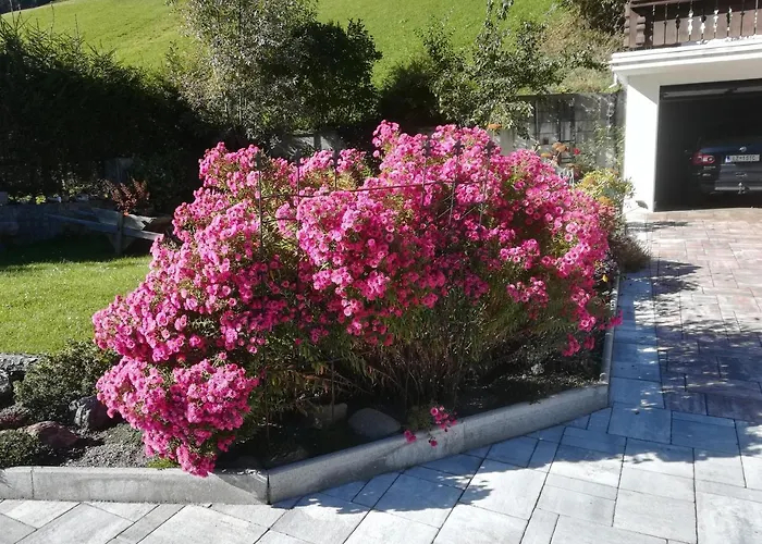 Weitlaner Birgit * Sillian