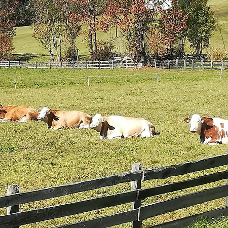 Weitlaner Birgit Apartman Sillian