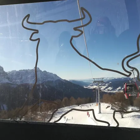 Weitlaner Birgit * Sillian