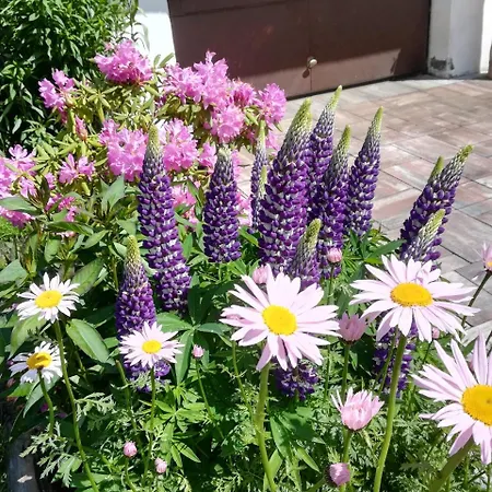 Apartman Weitlaner Birgit *