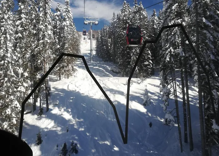 Weitlaner Birgit * Sillian