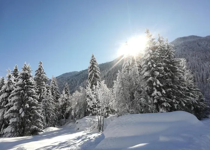 Weitlaner Birgit Lejlighed