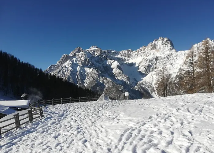 Lejlighed Weitlaner Birgit *