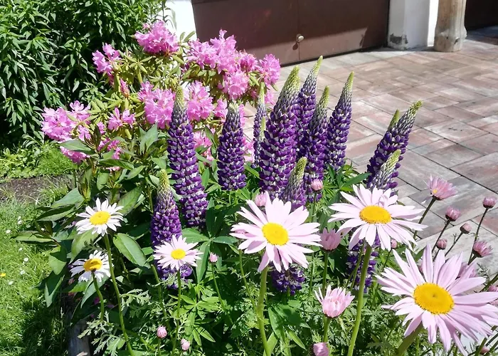 Lejlighed Weitlaner Birgit *